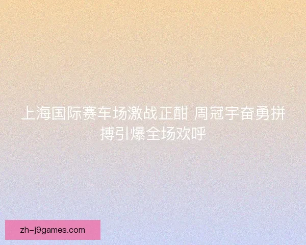 上海国际赛车场激战正酣 周冠宇奋勇拼搏引爆全场欢呼